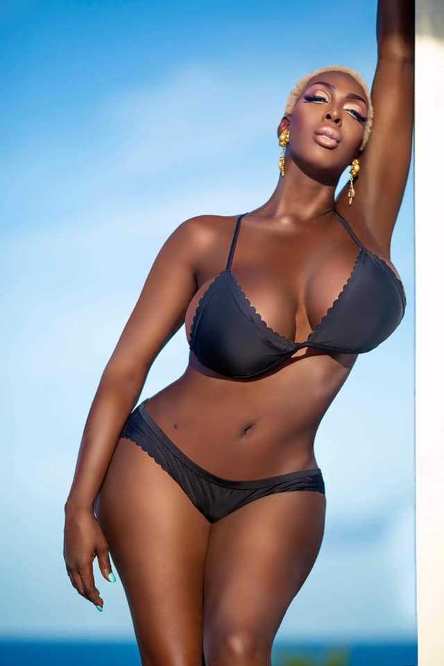 Fantasia Royale Gaga - Palace Bar & Restaurant